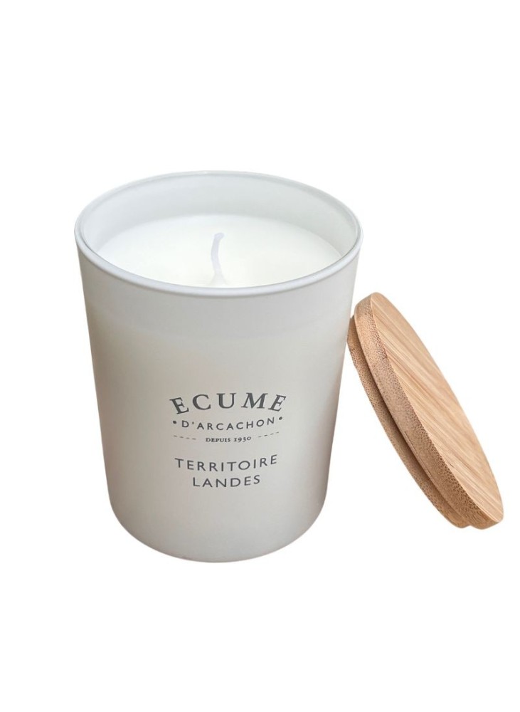 French landes territory candle | Woody perfume | Écume d'Arcachon