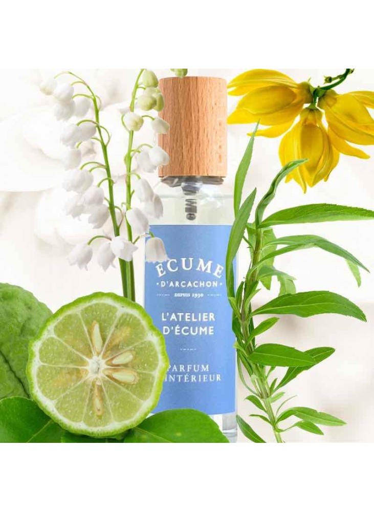 Fresh and marine fragrance for home | Écume d'Arcachon