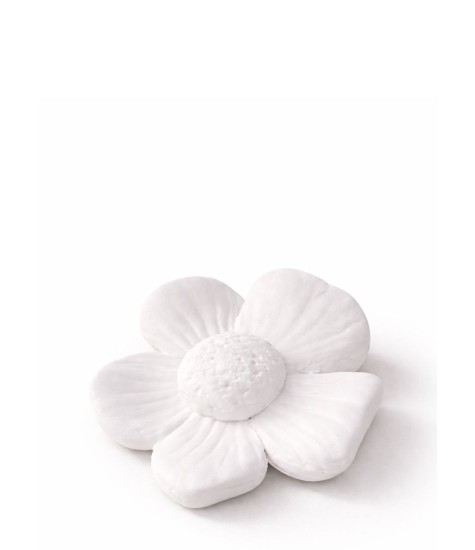 Fleur décorative à parfumer pour des petits espaces.