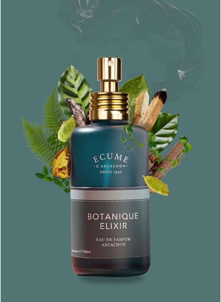 Fragrance botanique elixir. Ambré et vert.