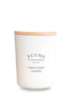 French landes territory candle | Woody perfume | Écume d'Arcachon