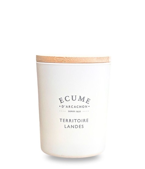 French landes territory candle | Woody perfume | Écume d'Arcachon