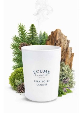 Senteur bois brulés.