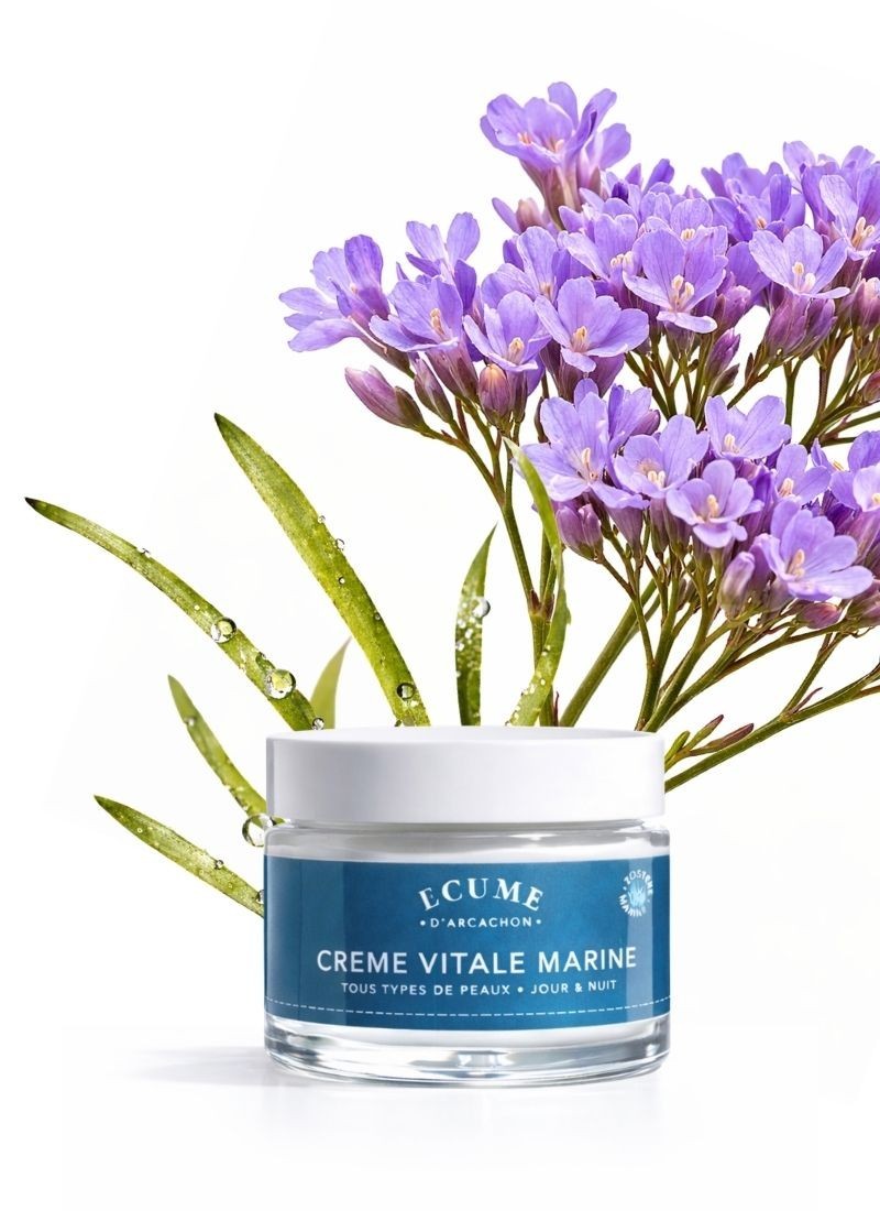 Natural face cream day and night | Écume d'Arcachon
