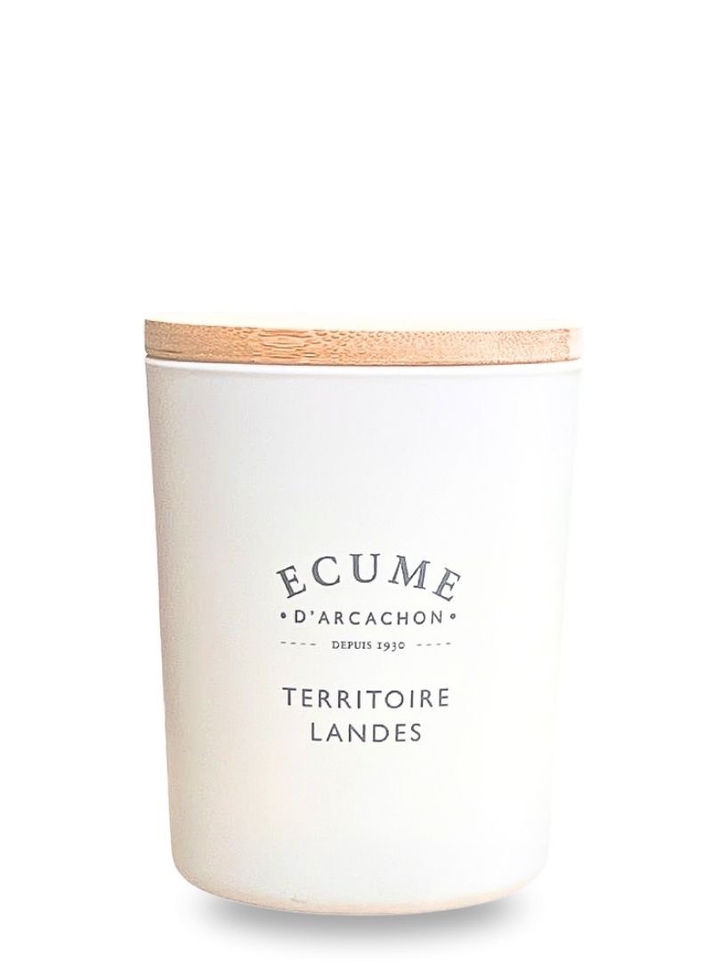 French landes territory candle | Woody perfume | Écume d'Arcachon
