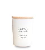 French landes territory candle | Woody perfume | Écume d'Arcachon