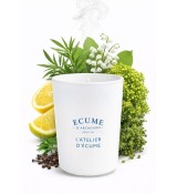 Ambiance parfumée au bord de la mer. Gamme maison Atelier d'Écume.