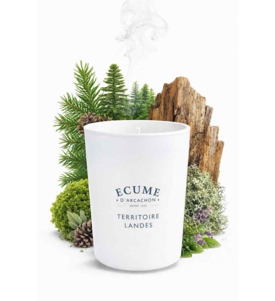 Gamme olfactive pour la maison . Collection boisée pour Écume d'Arcachon.