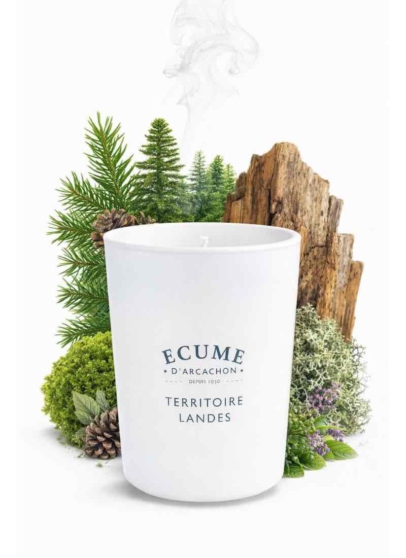 Gamme olfactive pour la maison . Collection boisée pour Écume d'Arcachon.