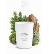 Gamme olfactive pour la maison . Collection boisée pour Écume d'Arcachon.