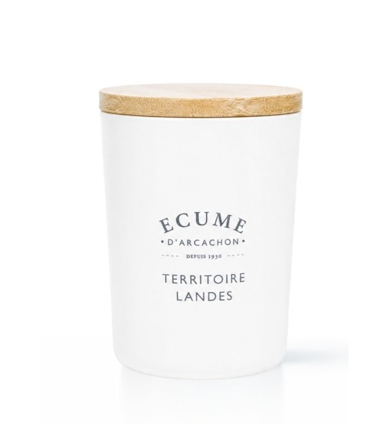 French landes territory candle | Woody perfume | Écume d'Arcachon