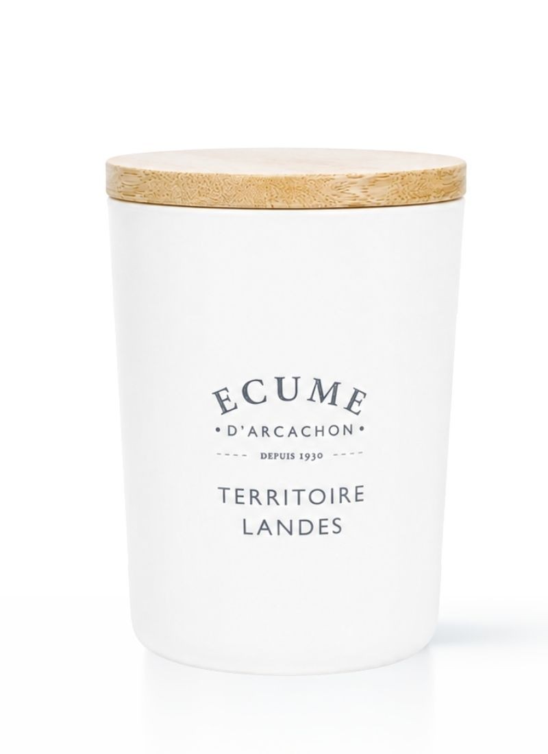 French landes territory candle | Woody perfume | Écume d'Arcachon