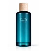 Diffuseur de parfum pour la maison